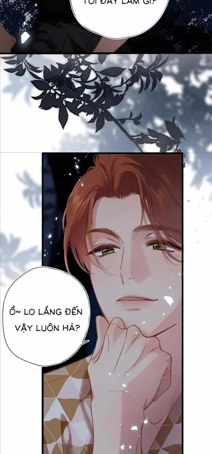 Tố Hồi Xuân Thời - Chương 74 - ảnh 22