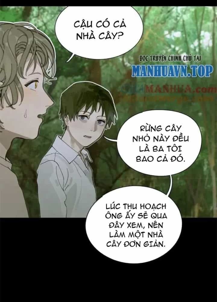 Tơ Nhện - Chương 11 - ảnh 61