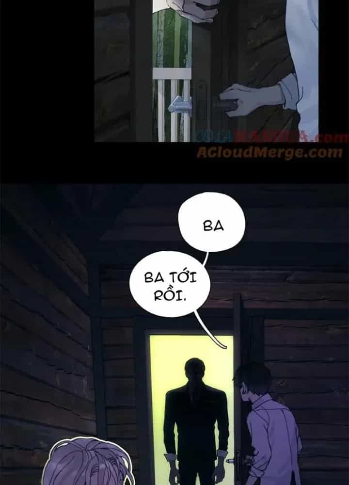 Tơ Nhện - Chương 12 - ảnh 7