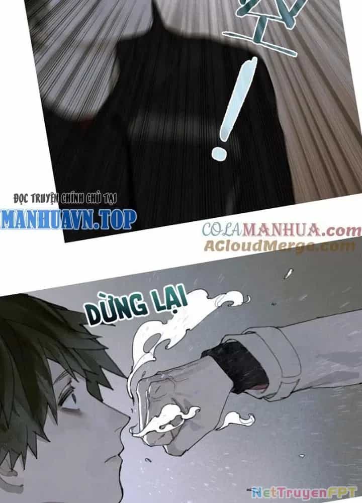 Tơ Nhện - Chương 18 - ảnh 11