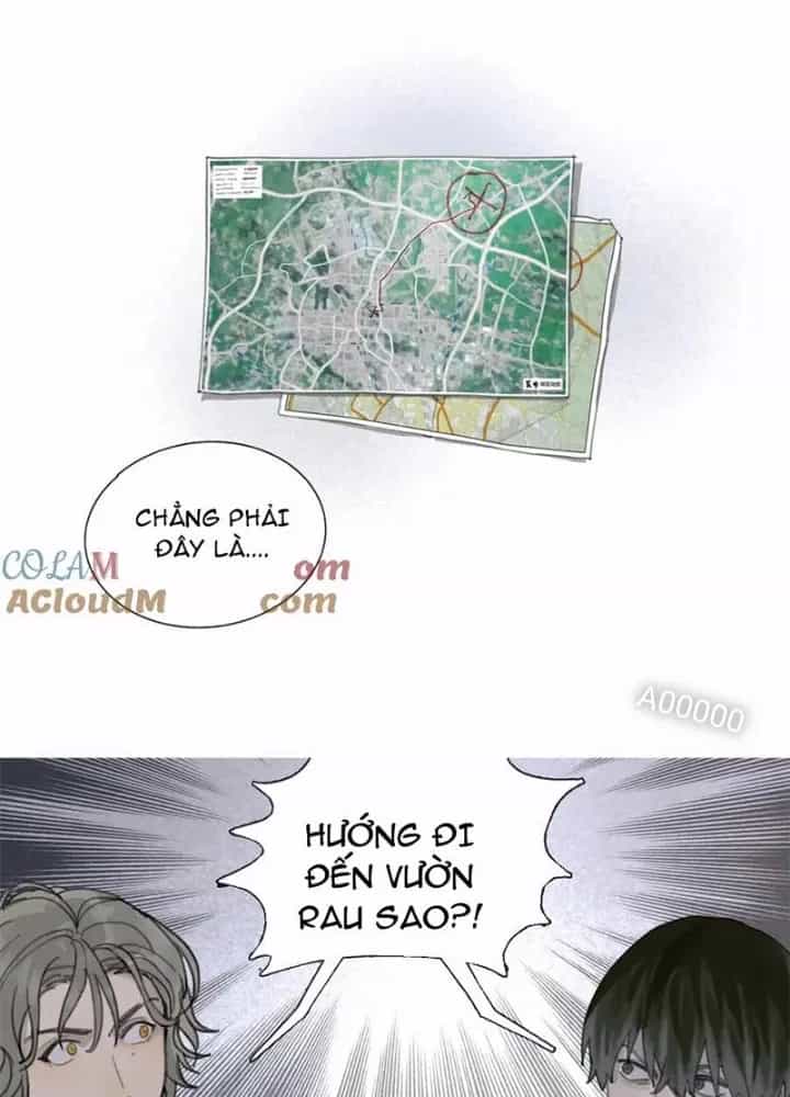 Tơ Nhện - Chương 44 - ảnh 47