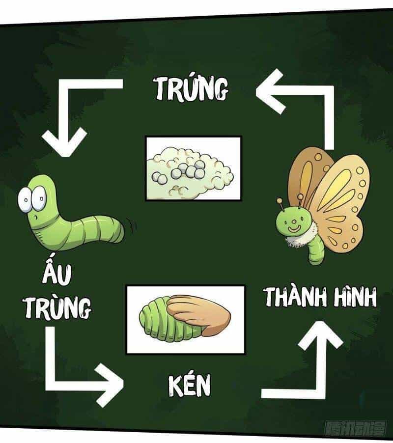 Tổ Thượng Có Tiền - Chương 97 - ảnh 26