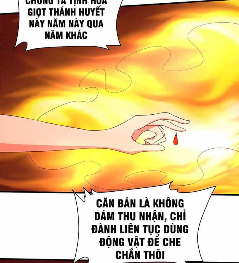 Tọa Ủng Tinh Cầu - Chương 10 - ảnh 13