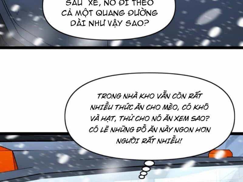 Toàn Cầu Băng Phong: Ta Chế Tạo Phòng An Toàn Tại Tận Thế - Chương 163 - ảnh 6