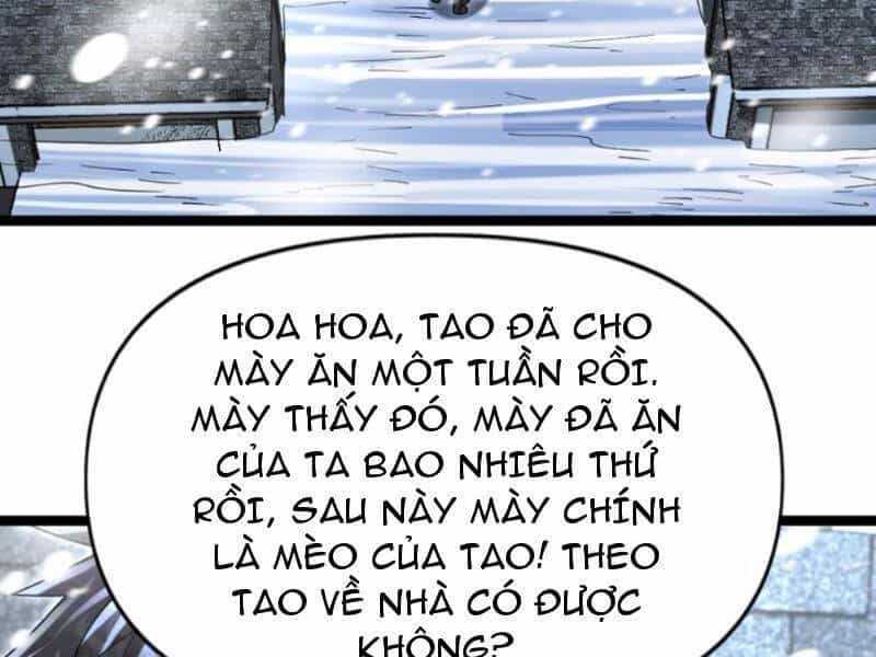 Toàn Cầu Băng Phong: Ta Chế Tạo Phòng An Toàn Tại Tận Thế - Chương 176 - ảnh 17