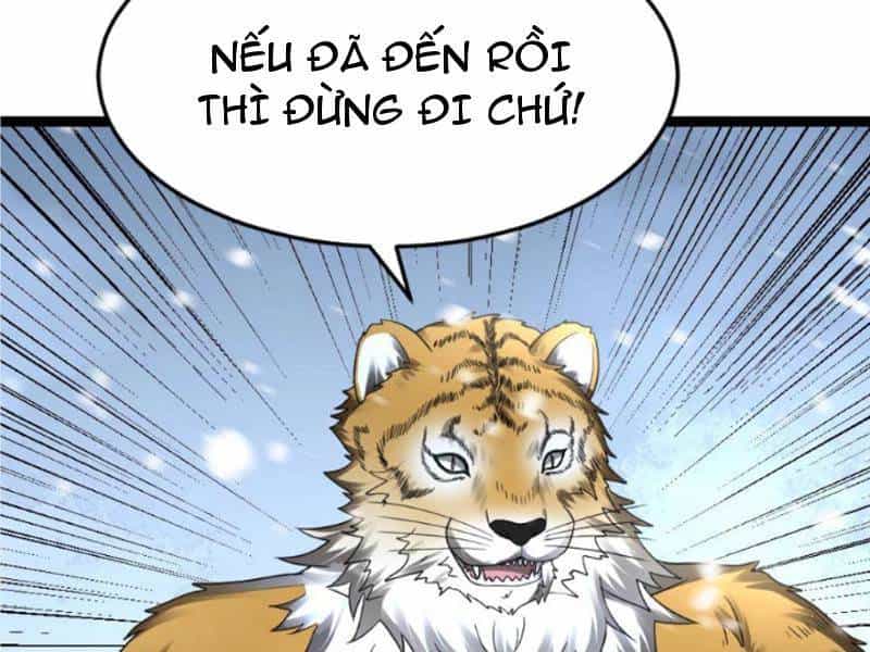 Toàn Cầu Băng Phong: Ta Chế Tạo Phòng An Toàn Tại Tận Thế - Chương 531 - ảnh 42