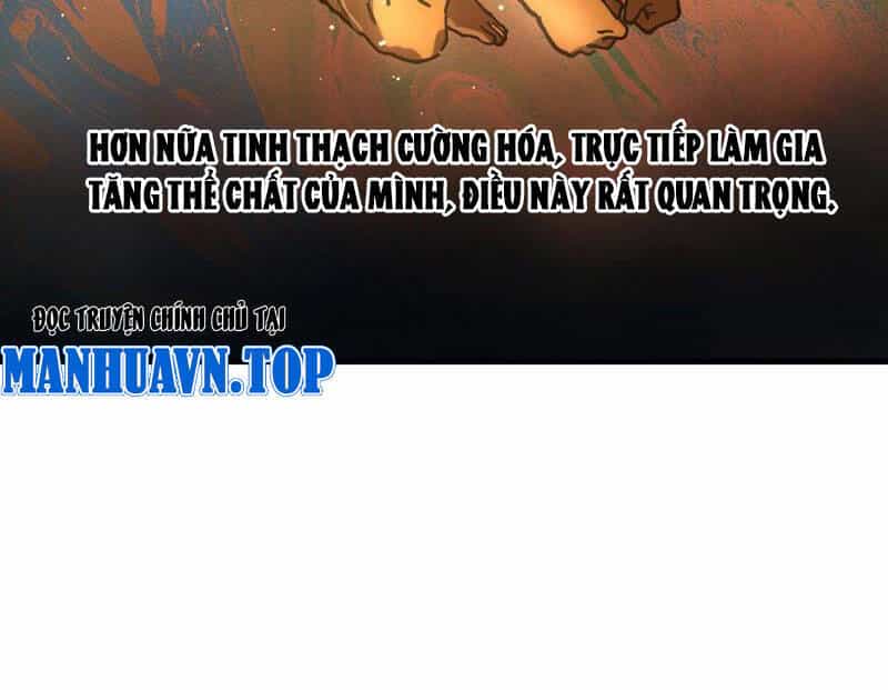 Toàn Cầu Ngự Thú: Ta Có Thể Thấy Lộ Tuyến Tiến Hoá - Chương 2 - ảnh 27