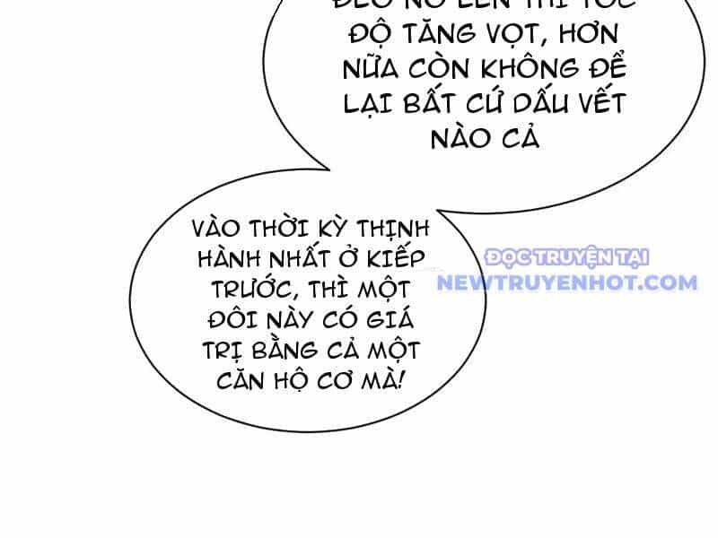 Toàn Chức Kiếm Tu - Chương 34 - ảnh 50