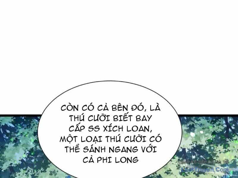 Toàn Dân Chuyển Chức: Bị Động Của Ta Vô Địch - Chương 175 - ảnh 16