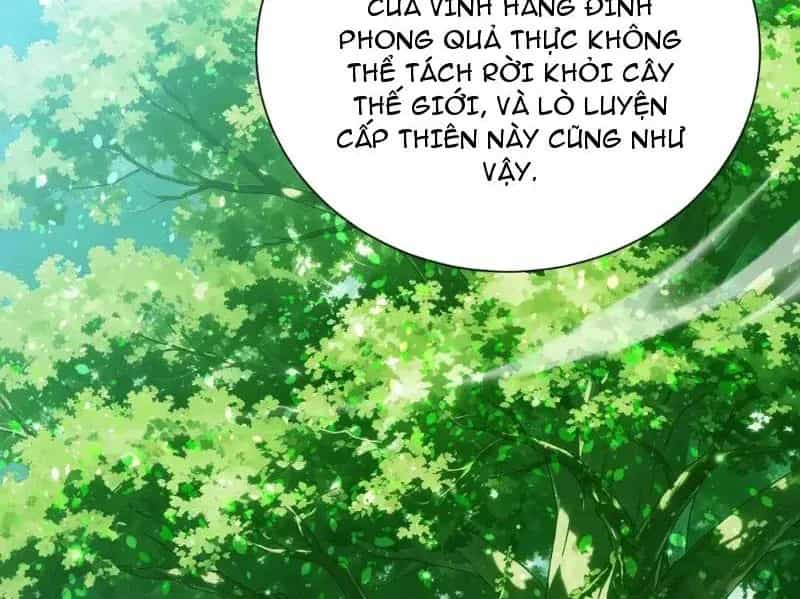 Toàn Dân Chuyển Chức: Bị Động Của Ta Vô Địch - Chương 175 - ảnh 24