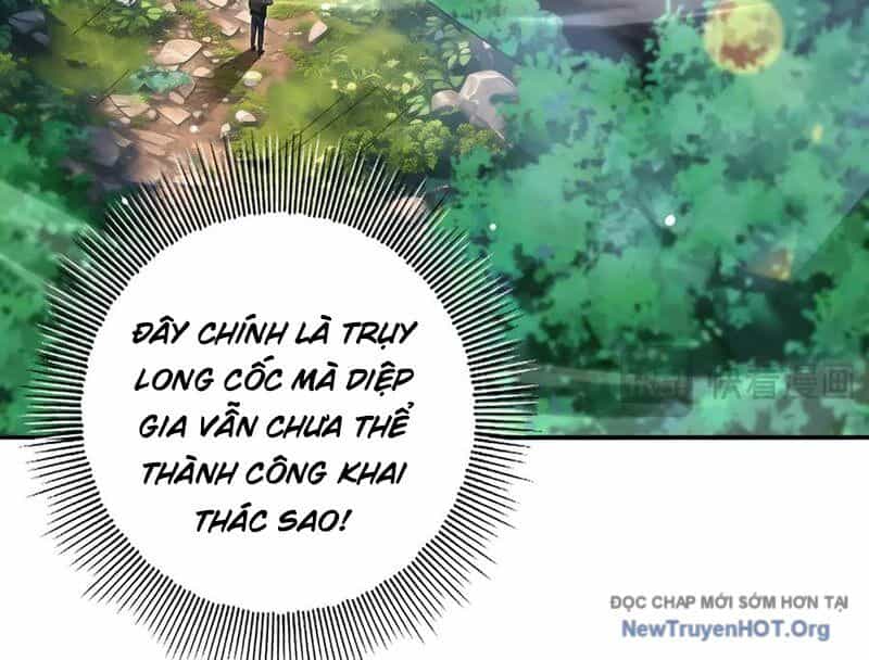 Toàn Dân Chuyển Chức: Ngự Long Sư Là Chức Nghiệp Yếu Nhất? - Chương 137 - ảnh 11