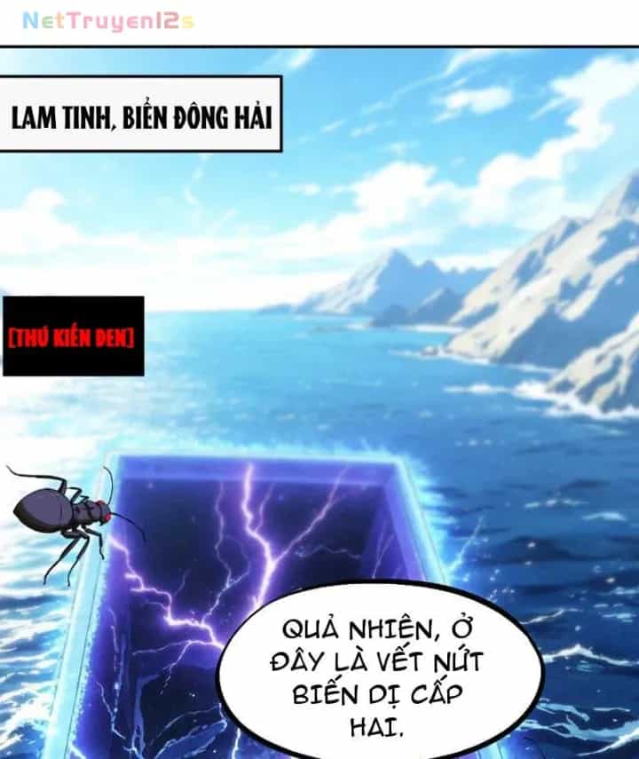 Toàn Dân Đoạt Tháp: Ta Đã Sớm Thông Qua Tầng 999 - Chương 65 - ảnh 19