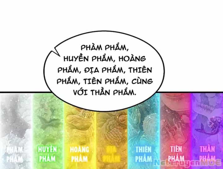 Toàn Dân Ngự Thú: Bắt Đầu Từ Sơn Hải Kinh Ta Quét Ngang Toàn Cầu - Chương 1 - ảnh 17