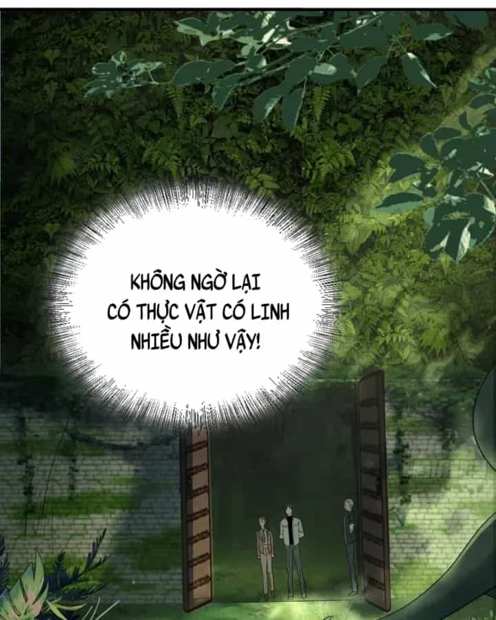 Toàn Trí Tu Tiên Giả - Chương 33 - ảnh 24
