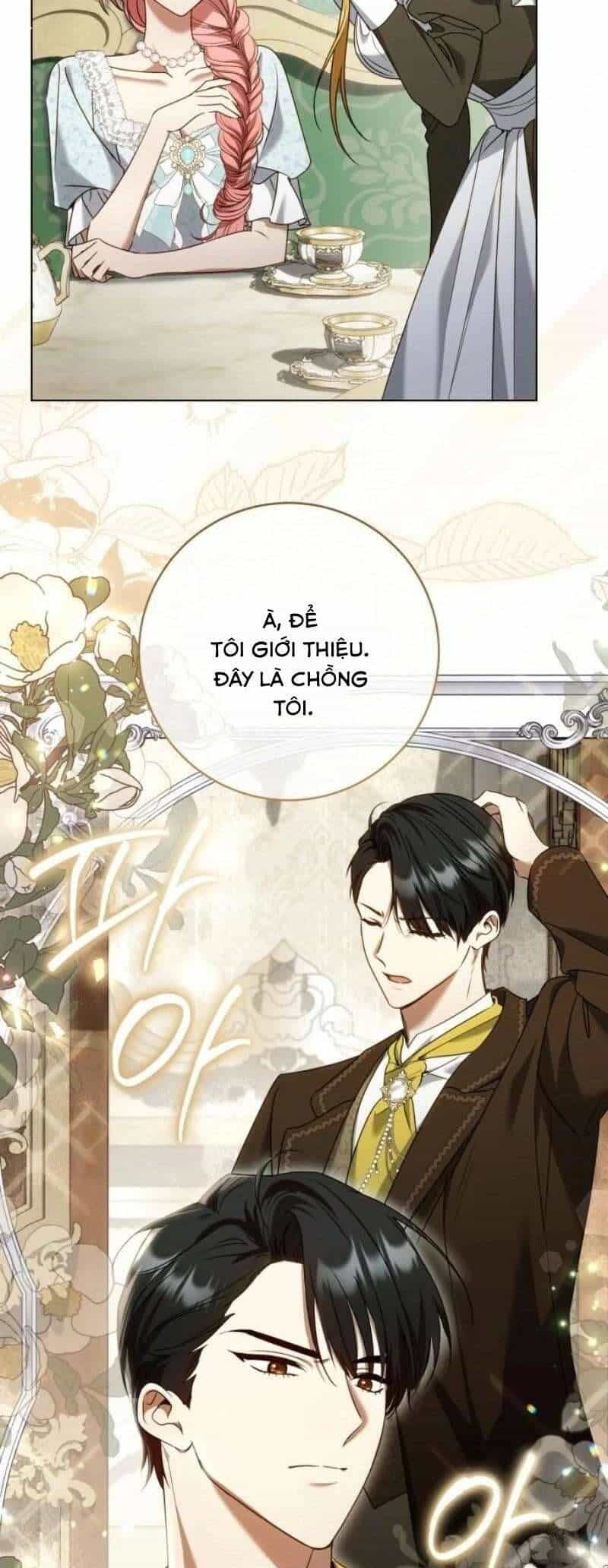 Tôi Bị Giật Chồng Những Hai Lần - Chương 2 - ảnh 27
