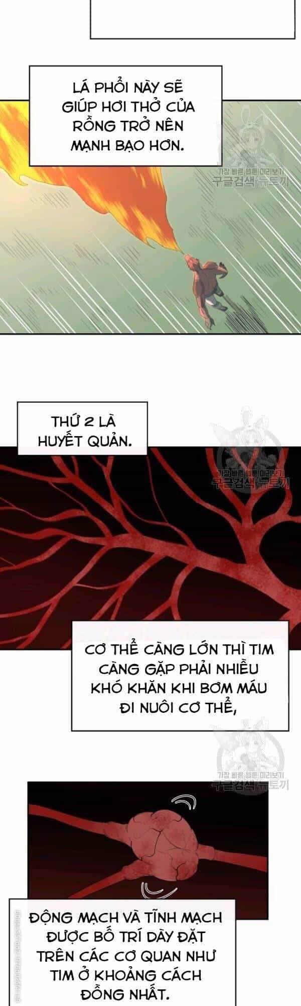 Tôi Càng Ăn Càng Trở Nên Mạnh Mẽ - Chương 20 - ảnh 29