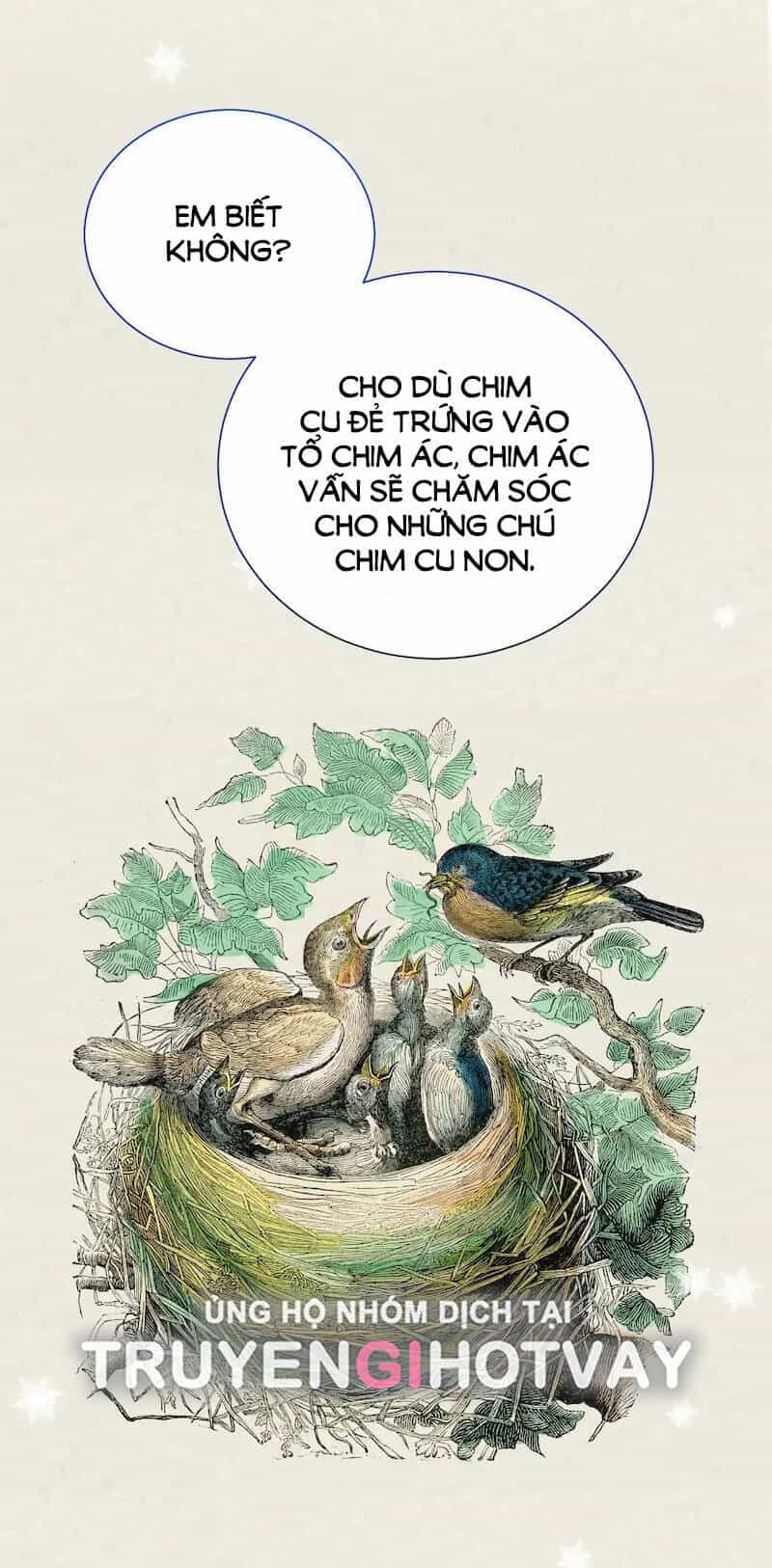 Tôi Chán Nản Vì Chồng Thứ Hai Không Chung Thủy - Chương 78.1 - ảnh 28