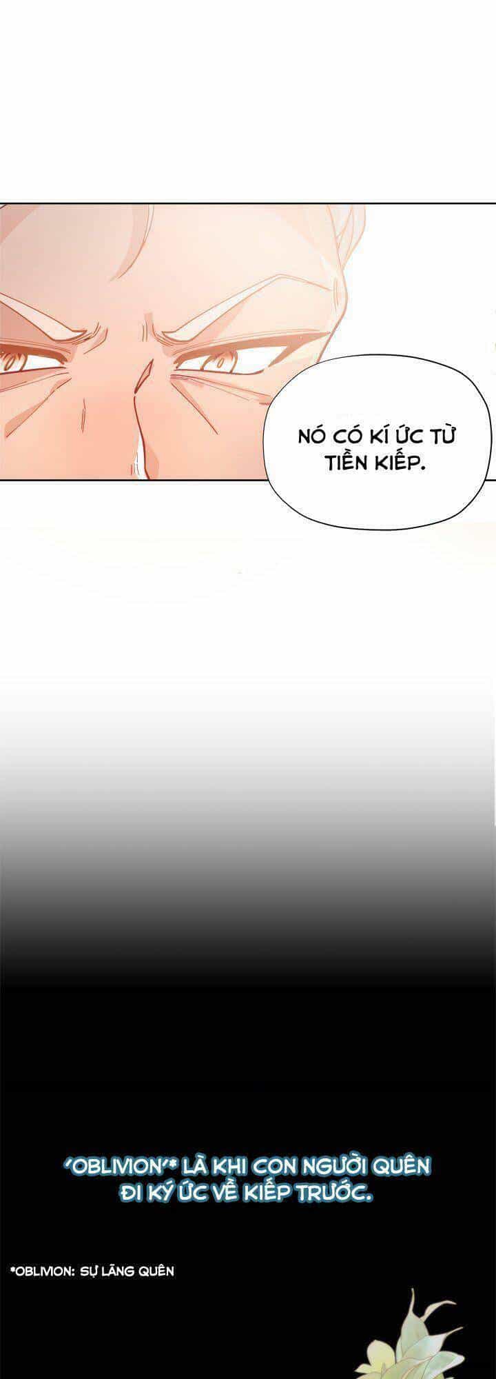 Tôi Chỉ Là Một Tiểu Thư Bình Thường - Chương 3 - ảnh 32