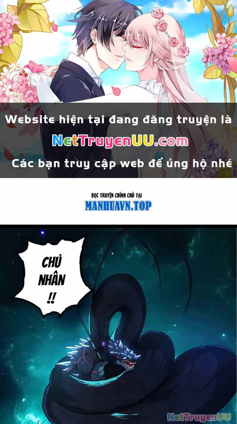 Tôi Cũng Là Đại Lão - Chương 35 - ảnh 69