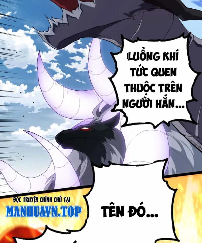 Tôi Cũng Là Đại Lão - Chương 39 - ảnh 50
