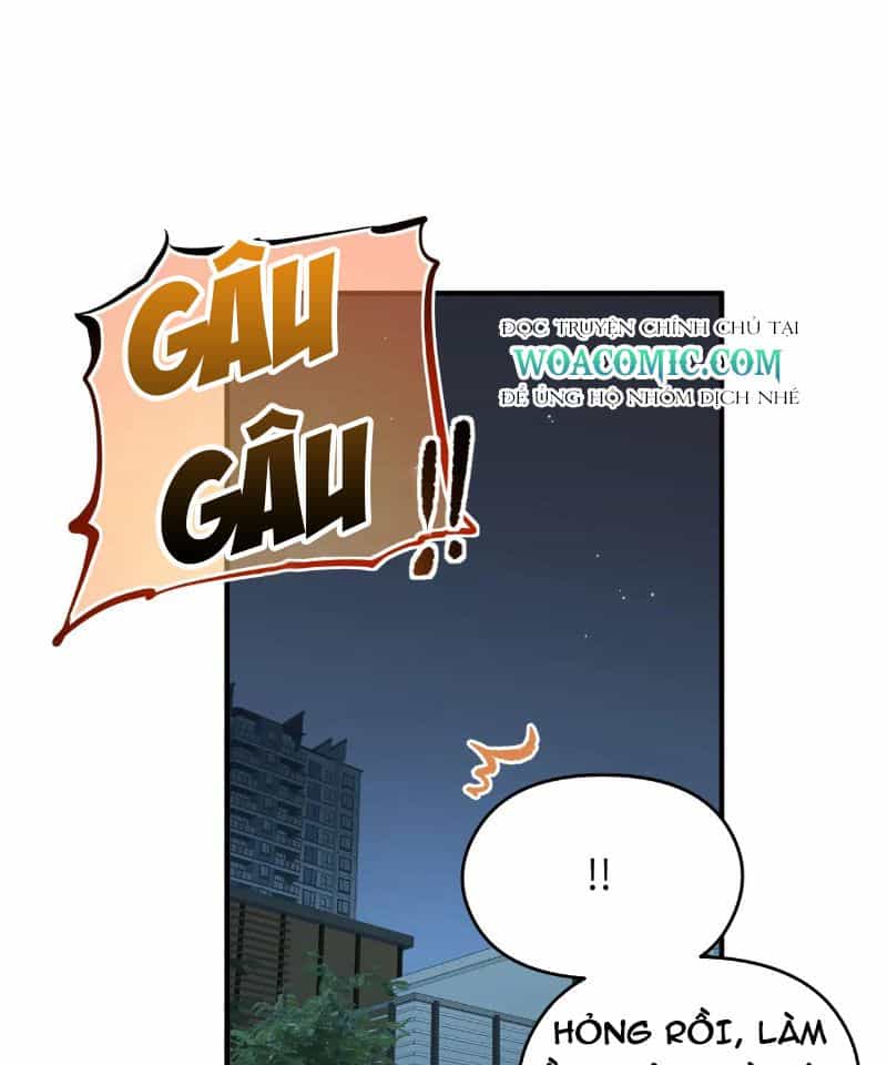 Tối Cường Thiên Đế Hệ Thống - Chương 81 - ảnh 51