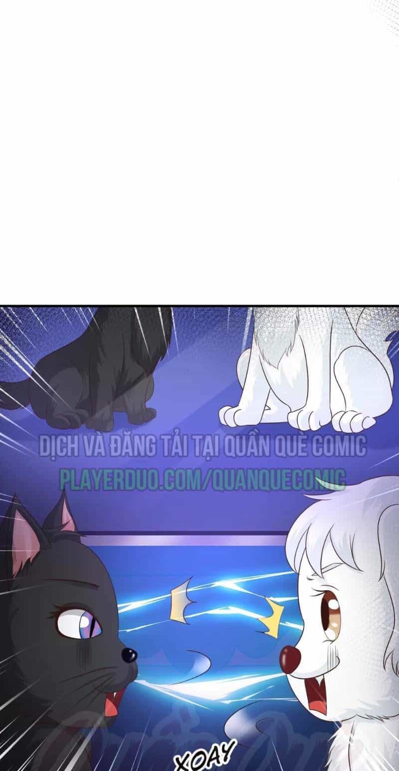 Tối Cường Vận Đào Hoa - Chương 77 - ảnh 7