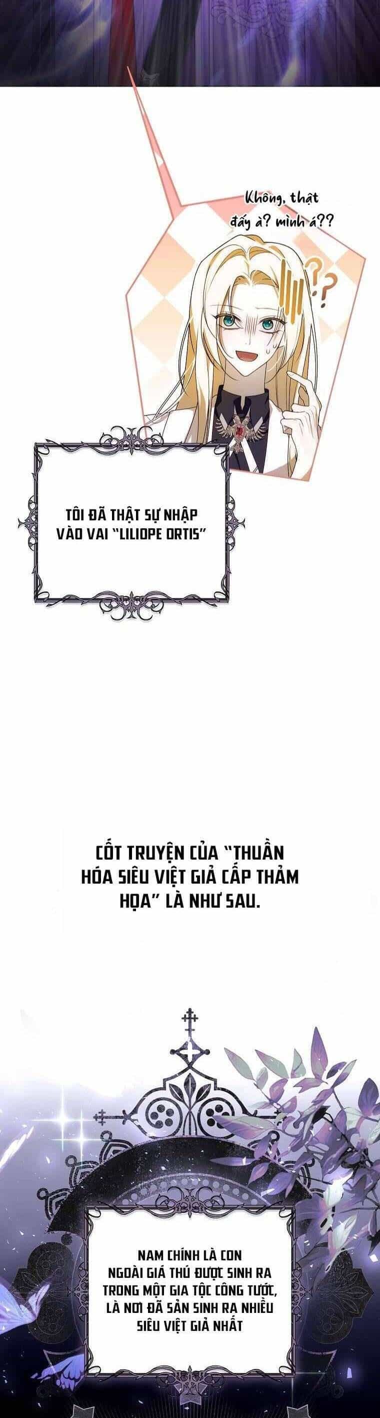 Tôi Đã Chữa Lành Vết Thương Tâm Lý Cho Nam Chính - Chương 1 - ảnh 28