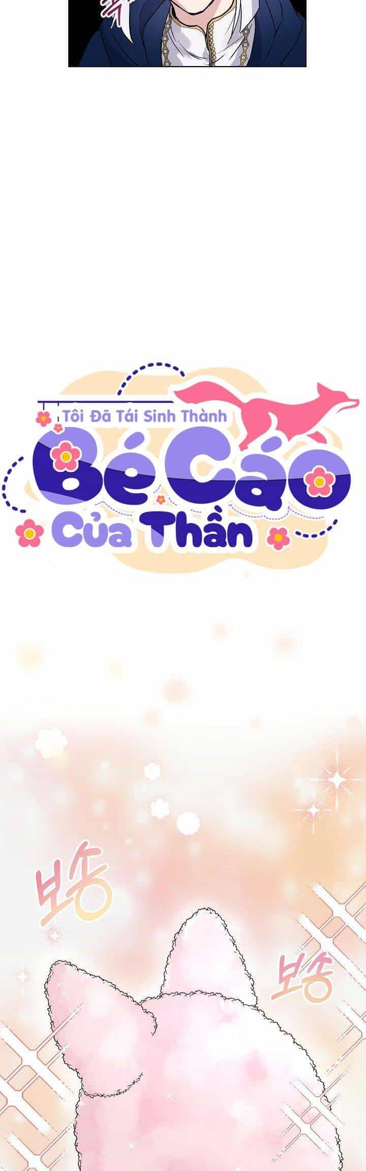 Tôi Đã Tái Sinh Thành Bé Cáo Của Thần - Chương 11 - ảnh 21