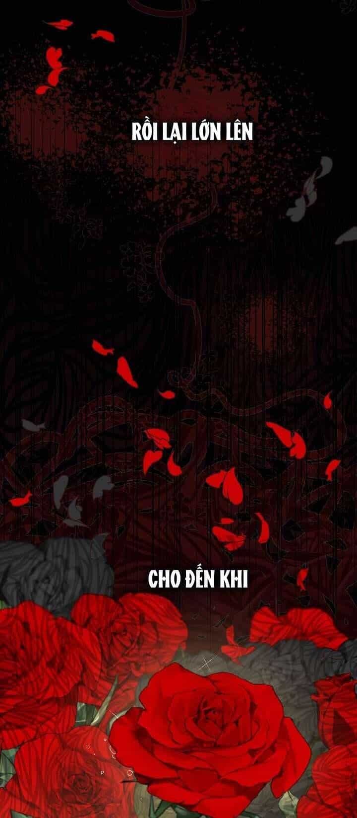 Tôi Đã Vô Tình Quyến Rũ Em Trai Của Nam Chính - Chương 25 - ảnh 36