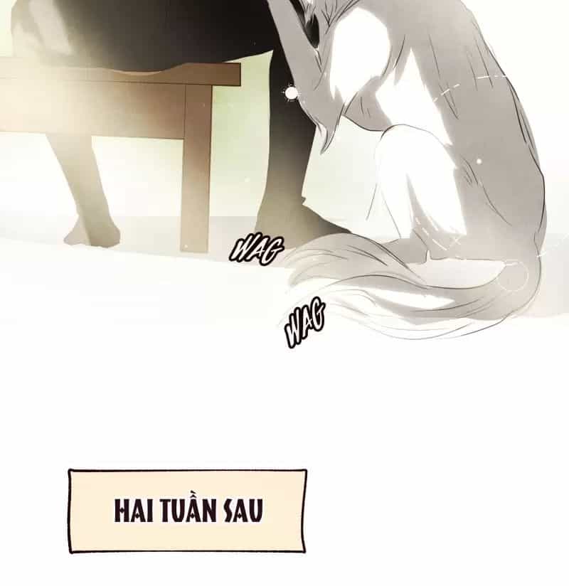 Tôi Là Kẻ Phản Diện - Chương 13 - ảnh 45