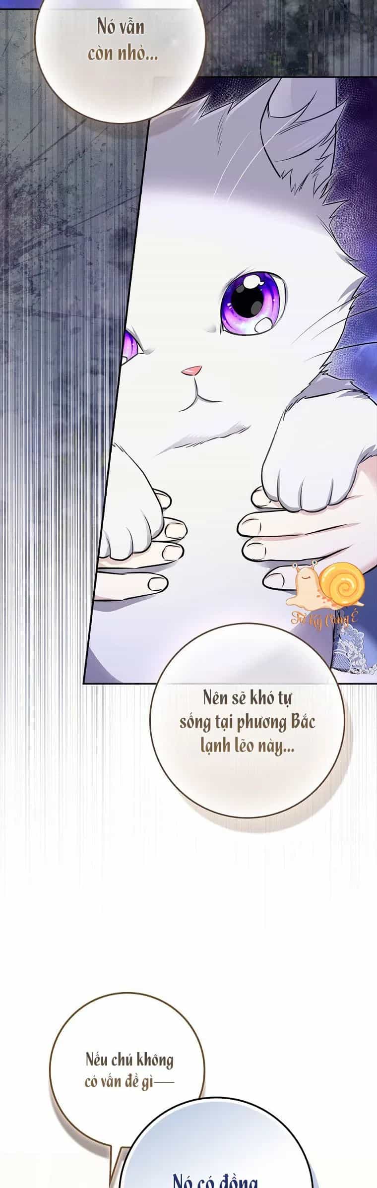 Tôi Là Một Điệp Viên 5 Tuổi Đã Bắt Cóc Kẻ Phản Diện - Chương 26 - ảnh 11