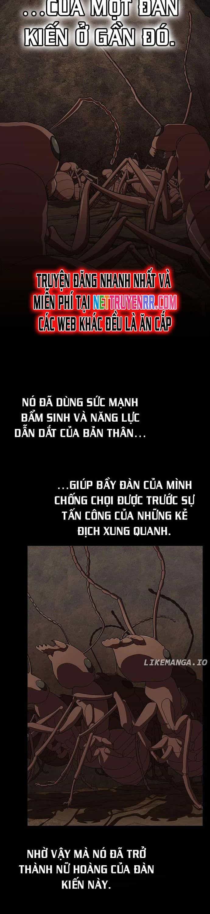 Tôi Là Người Chơi Leo Tháp Một Mình - Chương 210 - ảnh 21