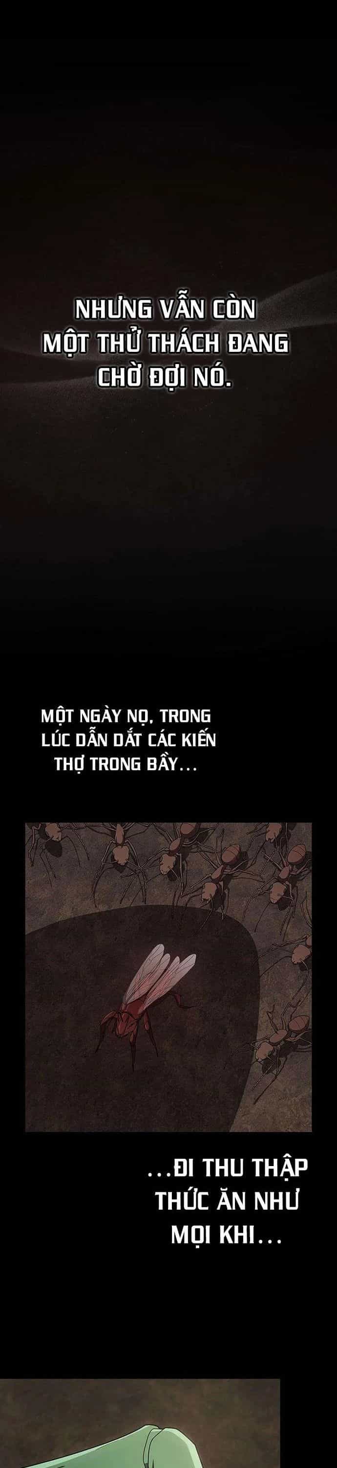 Tôi Là Người Chơi Leo Tháp Một Mình - Chương 210 - ảnh 22