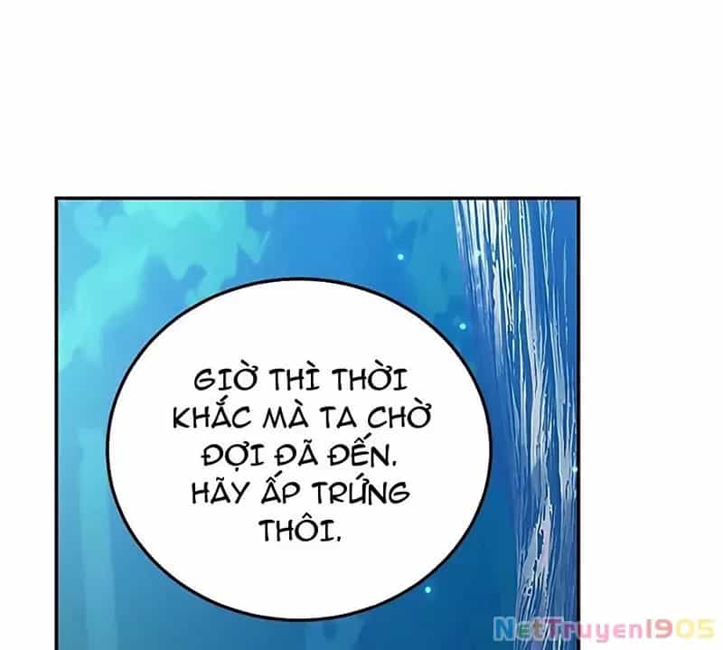 Tôi May Mắn Triệu Hồi Được Tinh Linh Hộ Vệ Hạng 10 - Chương 15 - ảnh 87