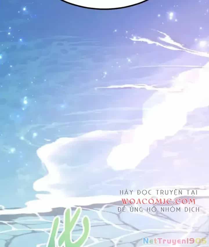 Tôi May Mắn Triệu Hồi Được Tinh Linh Hộ Vệ Hạng 10 - Chương 26 - ảnh 54