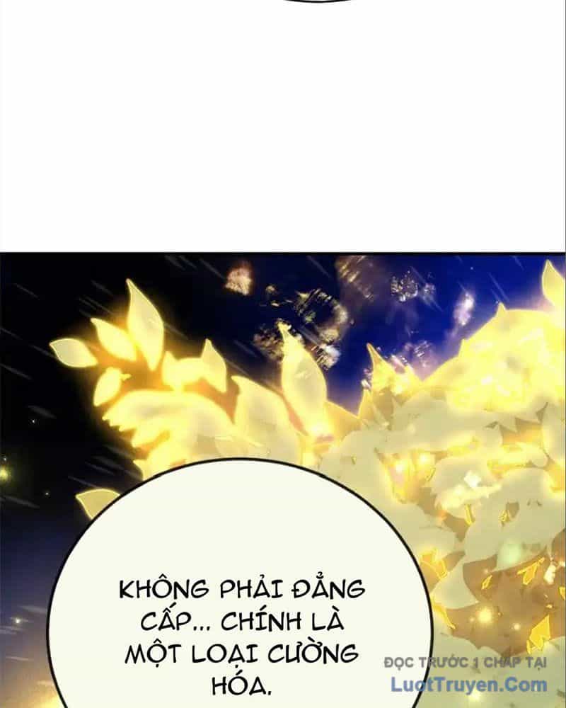 Tôi May Mắn Triệu Hồi Được Tinh Linh Hộ Vệ Hạng 10 - Chương 33 - ảnh 49