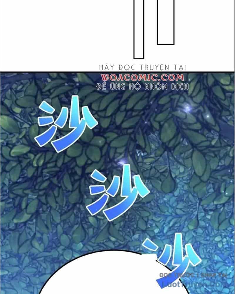 Tôi May Mắn Triệu Hồi Được Tinh Linh Hộ Vệ Hạng 10 - Chương 36 - ảnh 49