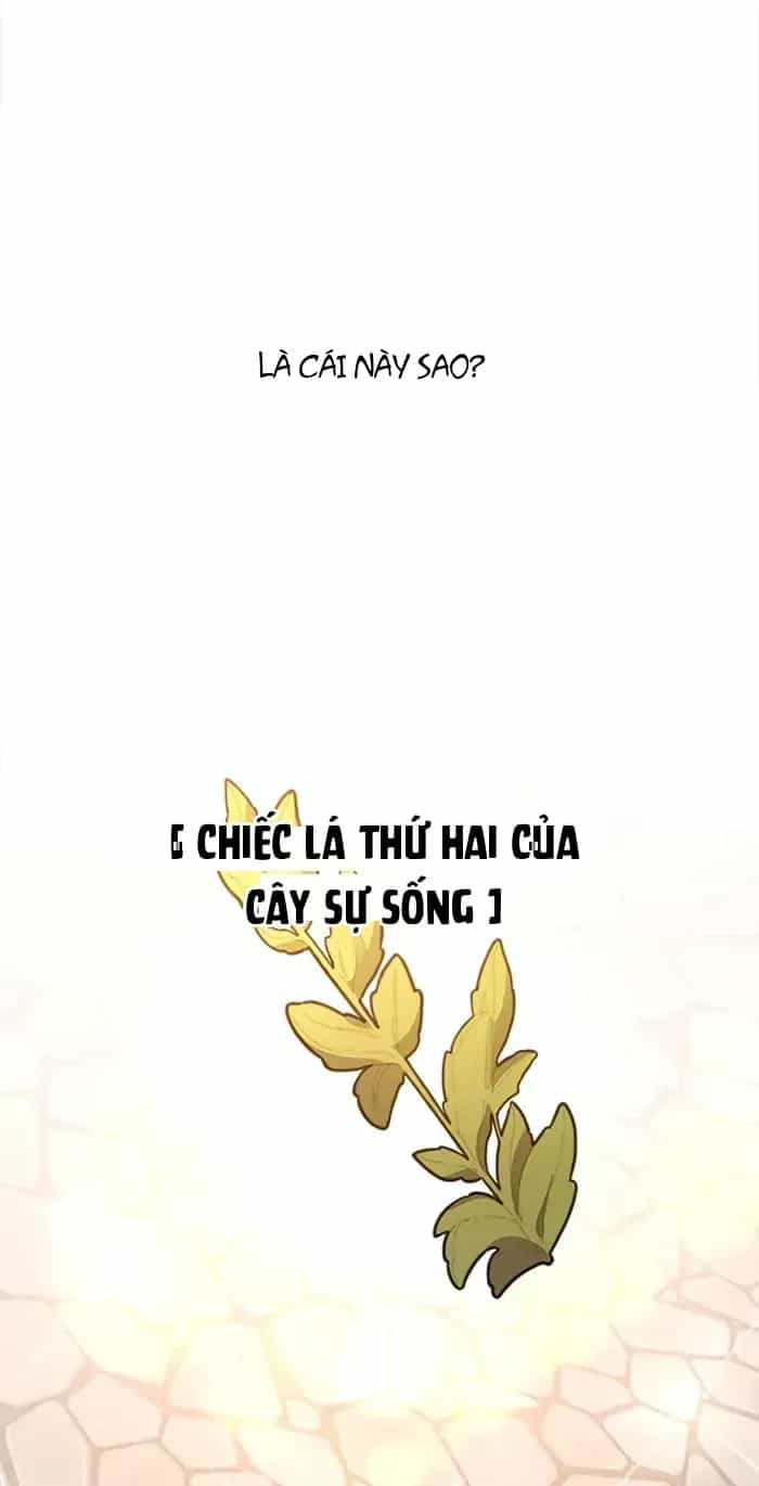 Tôi May Mắn Triệu Hồi Được Tinh Linh Hộ Vệ Hạng 10 - Chương 57 - ảnh 45