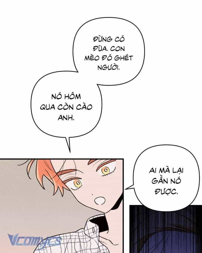Tối Nay Tôi Là Người Được Cô Ấy Chọn - Chương 1 - ảnh 221