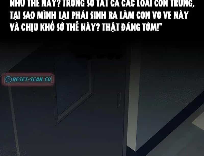 Tôi Sẽ Cho Bạn Biết Bạn Đáng Giá Bao Nhiêu - Chương 40 - ảnh 169