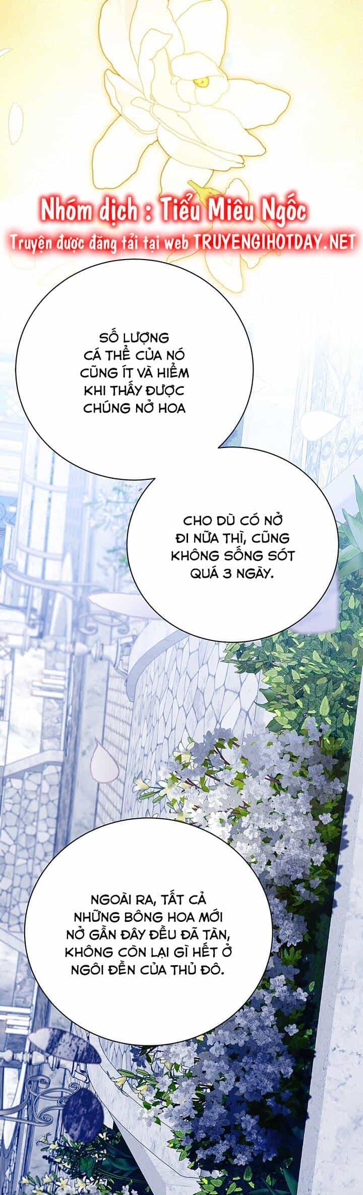 Tôi Sẽ Không Hối Tiếc Vì Anh Đâu - Chương 122 - ảnh 33