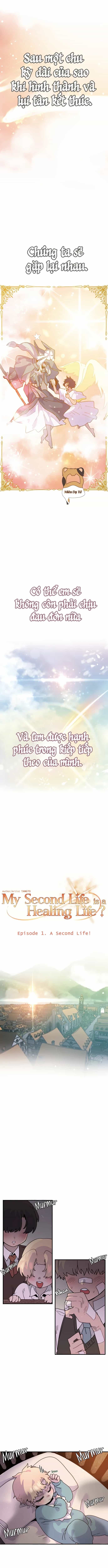 Tôi Sống Cuộc Đời Chữa Lành Ở Kiếp Thứ Hai - Chương 1 - ảnh 11