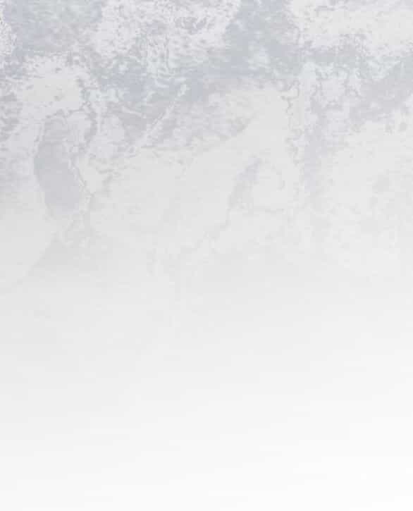 Tôi Thuần Hóa Chó Điên Của Chồng Cũ - Chương 24.2 - ảnh 11