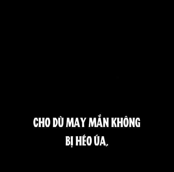 Tôi Thuần Hóa Chó Điên Của Chồng Cũ - Chương 42.1 - ảnh 54
