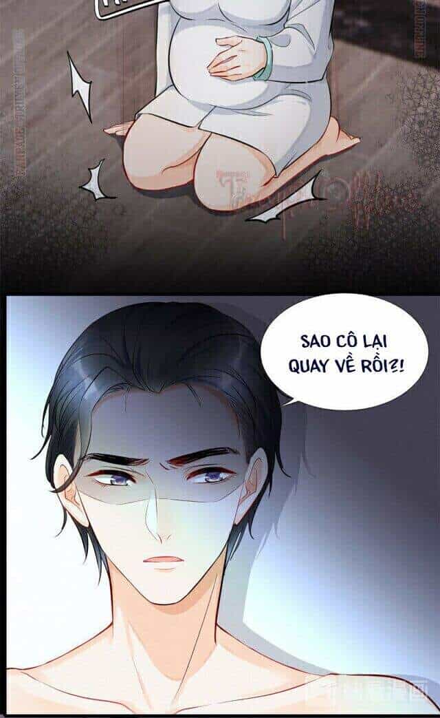 Tôi Trở Thành Tổ Tông Của 5 Vị Đại Lão - Chương 22 - ảnh 5