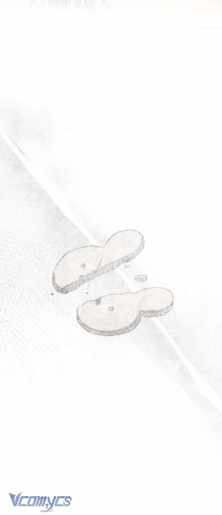 Tôi Trở Thành Vợ Nam Chính - Chương 97 - ảnh 66