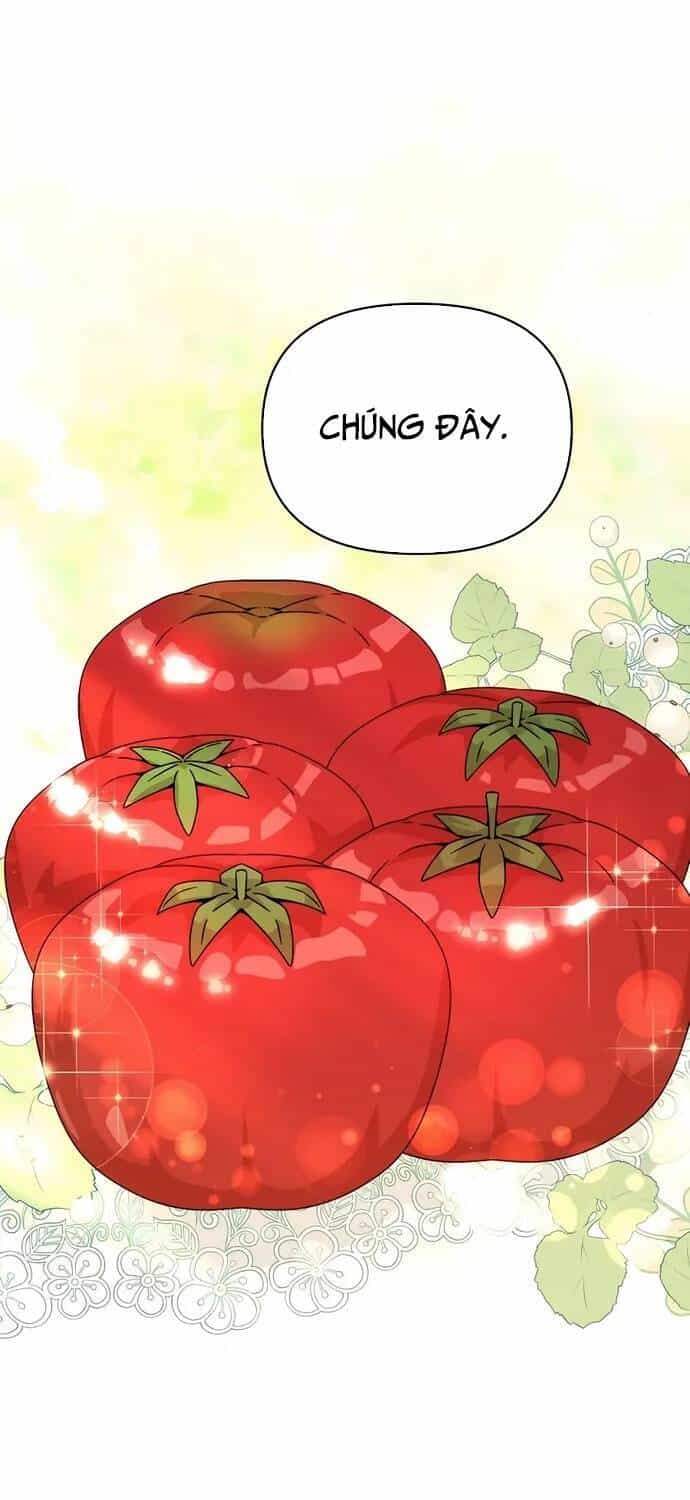 Tôi Từ Bỏ Tất Cả Để Khởi Đầu Ở Một Thế Giới Khác - Chương 60 - ảnh 32