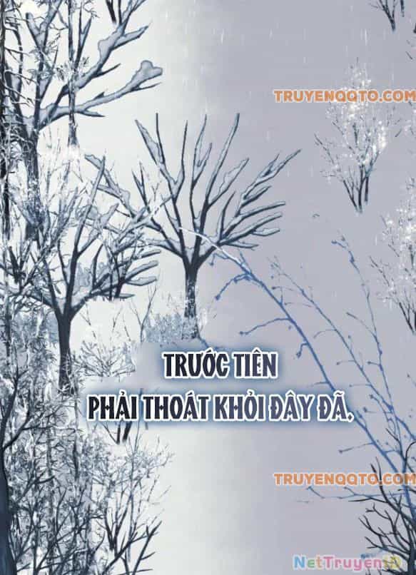 Tôi Tưởng Đó Chỉ Là Tiểu Thuyết Trọng Sinh Bình Thường - Chương 75 - ảnh 36