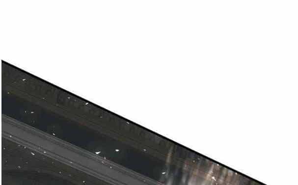 Tôi Viết Sách Để Thăng Cấp - Chương 135.5 - ảnh 35