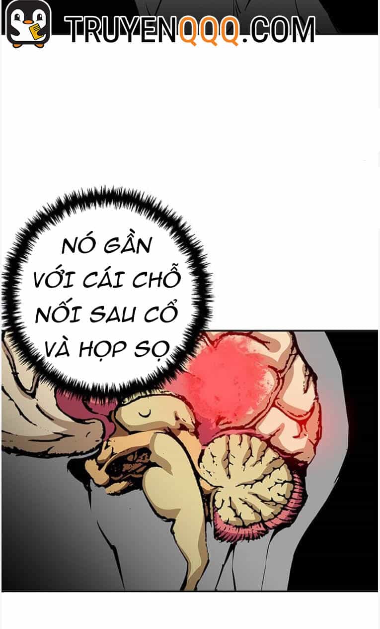 Tôi Viết Sách Để Thăng Cấp - Chương 96 - ảnh 44
